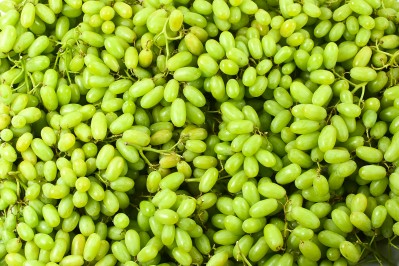 Žaliosios besėklės vynuogės